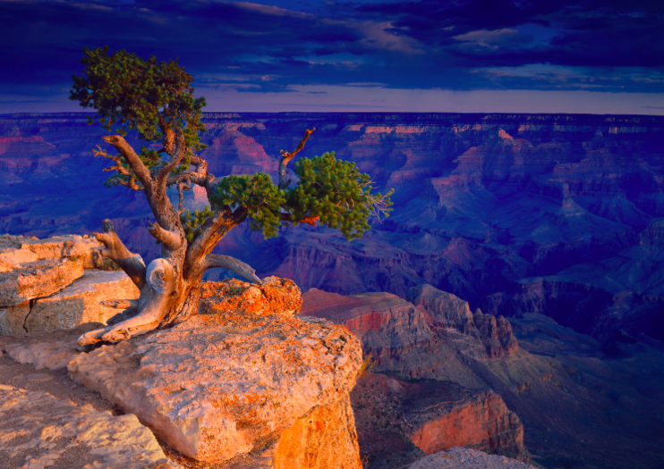 How to Spend 1 Day in Grand Canyon National Park
